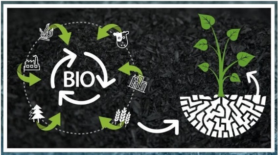 Biochar in India: Decentralized or Centralized Model- Which One Works Best?