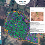 Tech For Climate, dMRV tool
