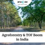 Agroforestry & TOF Boom in India