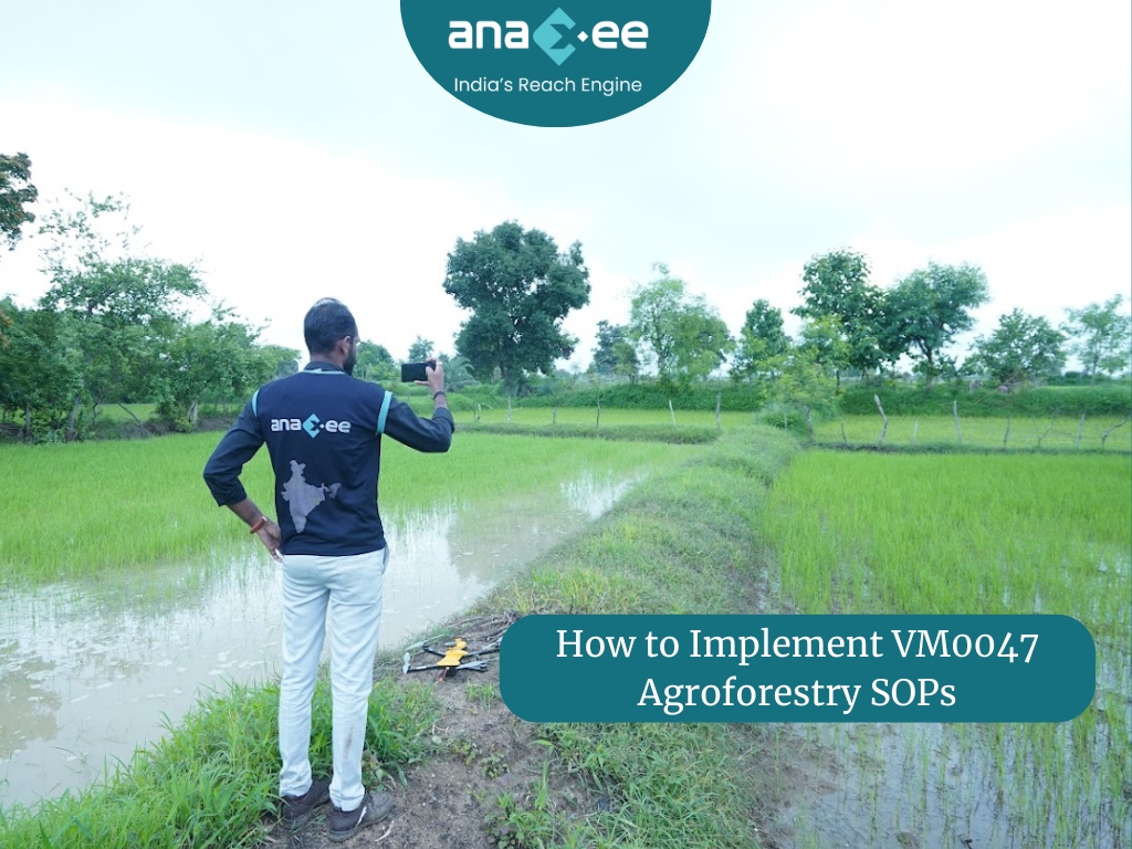 How to Implement VM0047 Agroforestry SOPs: A Complete Guide for Tree Plantation Projects