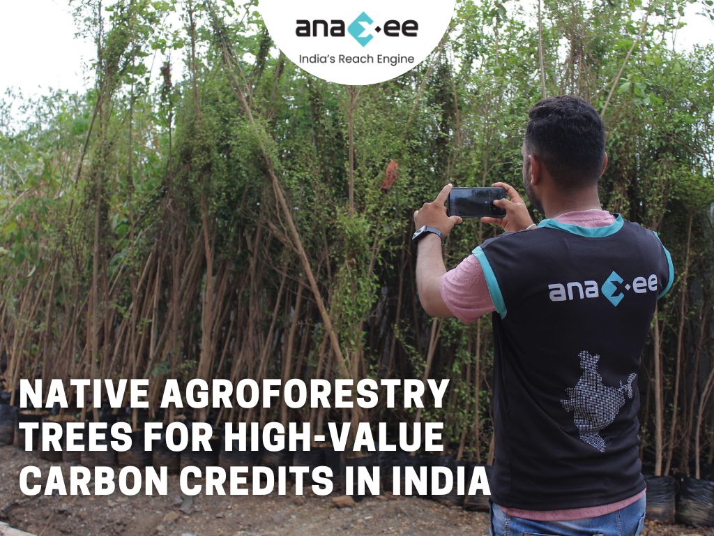 Native Agroforestry Trees for High-Value Carbon Credits in India – 2025 Guide