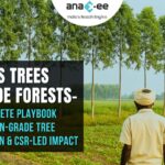 India’s Trees Outside Forests The Complete Playbook for Carbon-Grade Tree Plantation & CSR-Led Impact