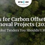 Aerial view of dense green forest with overlay text highlighting 2025 RFPs for carbon offset and removal projects, indicating global climate funding opportunities featured by Anaxee