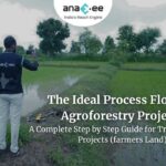 The Ideal Process Flow for Agroforestry Projects A Complete Step by Step Guide for Tree Plantation Projects (farmers Land)