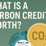 Carbon Price Icon, Globe, Text - What is carbon Credit Worth with Anaxee's Logo