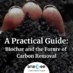 Hands holding biochar soil with icons for trees, plants, industry, and Earth, representing carbon removal and sustainability.