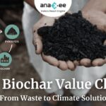 Hands holding biochar with circular infographic showing the biochar value chain: feedstock, pyrolysis, biochar, and applications.