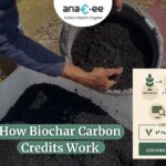 Person handling biochar during production process, with infographic showing the biochar carbon credit cycle: feedstock, pyrolysis, application, MRV, and certification.