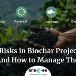 Hand holding biochar with icons highlighting key risks: non-additionality, reversal, leakage, and over-crediting in biochar projects.