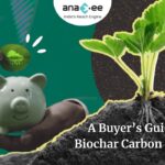 Featured image for Anaxee blog showing a piggy bank, a hand placing a green coin symbolizing carbon savings, and a plant growing from soil, representing investment in biochar carbon credits.