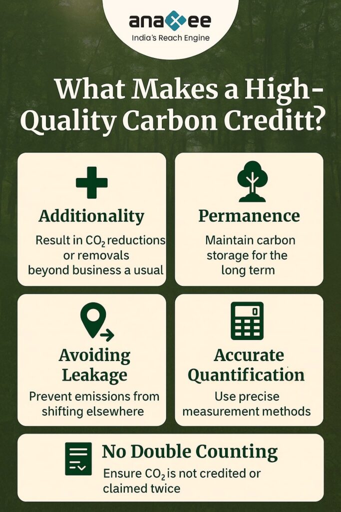 Infographic showing five principles of high-quality carbon credits: additionality, permanence, avoiding leakage, accurate quantification, and no double counting.