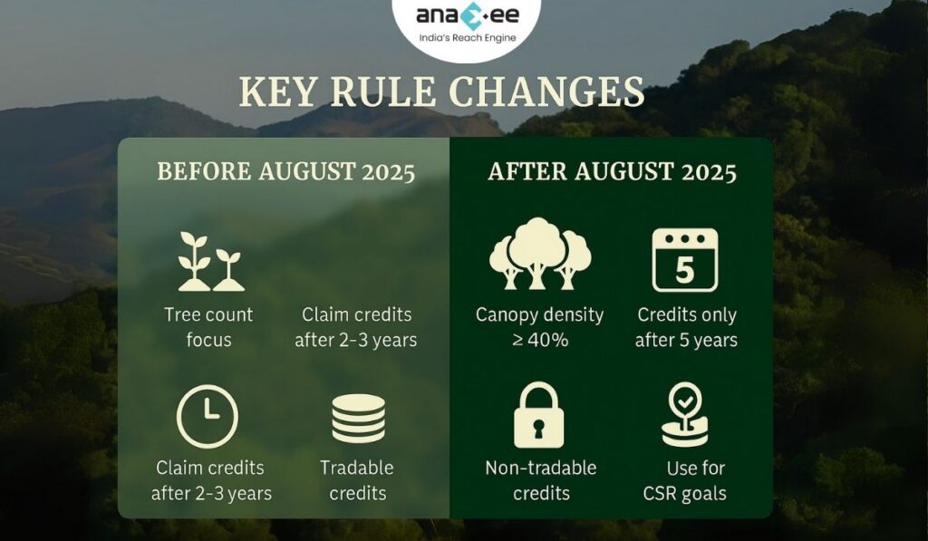 Comparative infographic of Green Credit rules highlighting old requirements such as tree counts, 2–3 year claims, and tradable credits versus new rules of 5-year survival, 40% canopy density, and non-tradable credits.