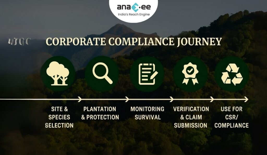 Horizontal flowchart showing six corporate compliance steps for Green Credit 2025: site and species selection, plantation and protection, monitoring survival, verification, claim submission, and CSR compliance use.