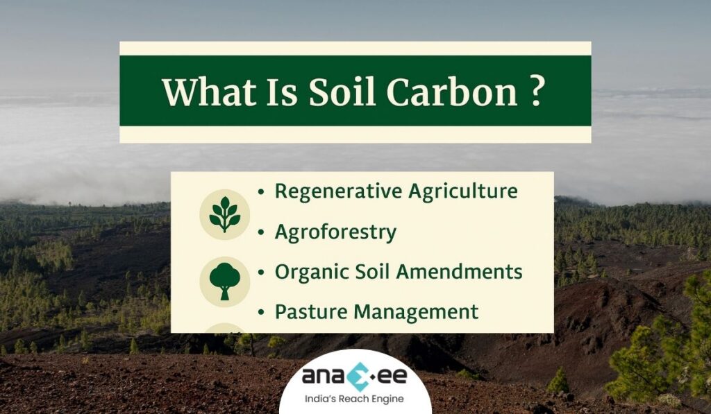 Infographic titled “What is Soil Carbon?” listing regenerative agriculture, agroforestry, organic soil amendments, and pasture management, with Anaxee branding.