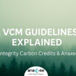 Forest landscape with mist and overlay text ‘IETA VCM Guidelines 2.0 Explained: High-Integrity Carbon Credits & Anaxee’s Role’ representing integrity in carbon markets.