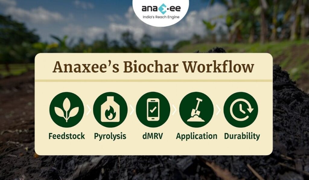 Infographic titled “Anaxee’s Biochar Workflow” showing five key stages — Feedstock, Pyrolysis, dMRV, Application, and Durability — represented by green icons on a beige background with Anaxee branding.