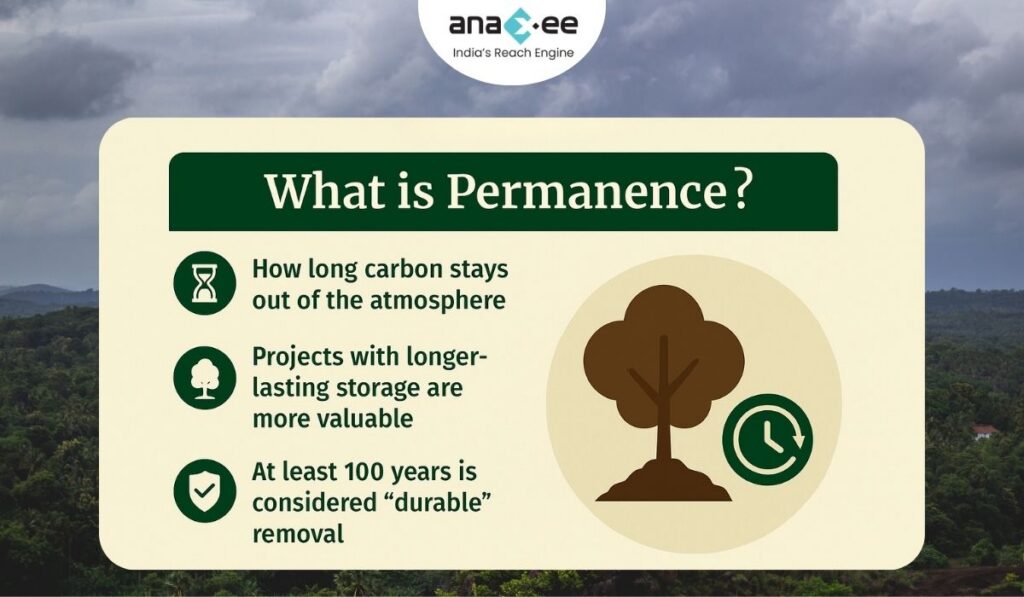 Infographic titled “What is Permanence?” explaining how long carbon remains stored in projects like forests or biochar, with icons for time, tree, and verification.