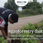 Anaxee Digital Runners field team working on bund plantations for smallholder agroforestry, promoting sustainable, VM0047-ready carbon projects with real-world economic impact.