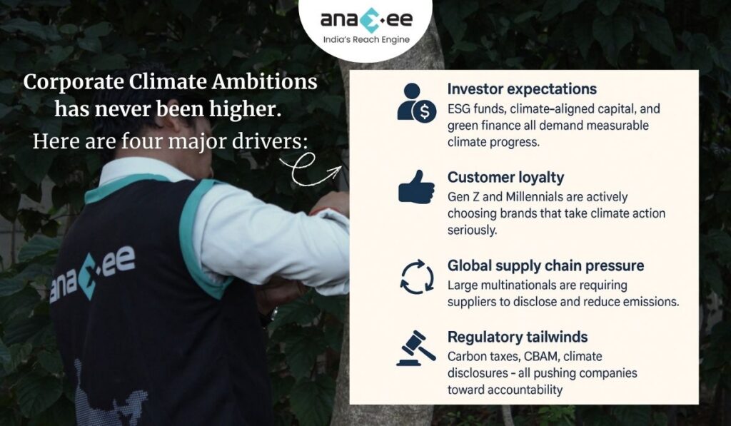 An infographic showing four major drivers of corporate climate ambition—investor expectations, customer loyalty, global supply-chain pressure, and regulatory tailwinds—placed over a background image of an Anaxee field worker collecting tree measurement data.