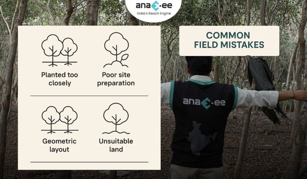 Infographic showing common spacing errors such as planting trees too closely, poor site preparation, geometric layouts, and unsuitable land use.