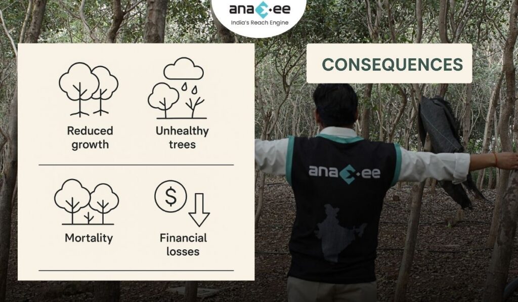 Infographic displaying consequences like reduced growth, unhealthy trees, mortality, and financial losses.