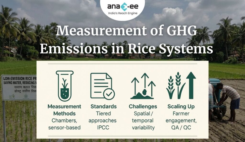Infographic displaying methods, standards, challenges, and scaling considerations for measuring greenhouse-gas emissions in rice systems, placed over a rice-field background with the Anaxee logo.