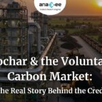 Infographic showing that biochar is currently sold only in the voluntary carbon market because it is not yet part of compliance systems, with demand driven by large tech companies and discretionary climate commitments.