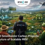 AI and Smallholder Carbon Projects: The Future of Scalable MRV