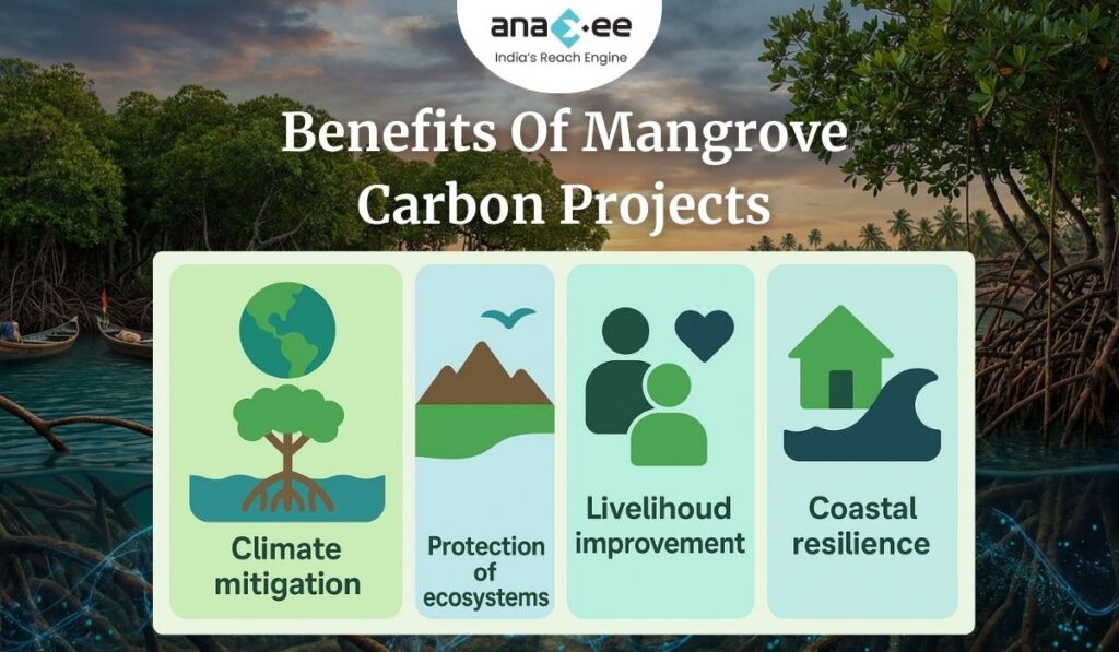 Infographic with visuals explaining the benefits of mangrove carbon projects, including climate mitigation, ecosystem protection, livelihood improvement, and coastal resilience, placed over a mangrove landscape.