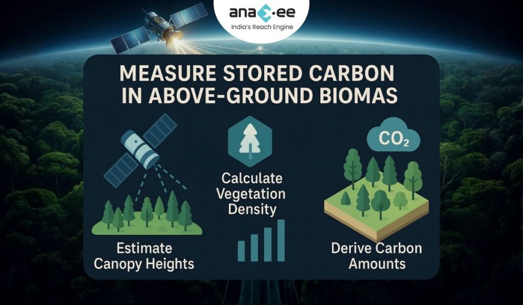 Infographic showing satellite canopy height estimation, vegetation density calculation, and carbon amount derivation using forest and CO₂ icons.