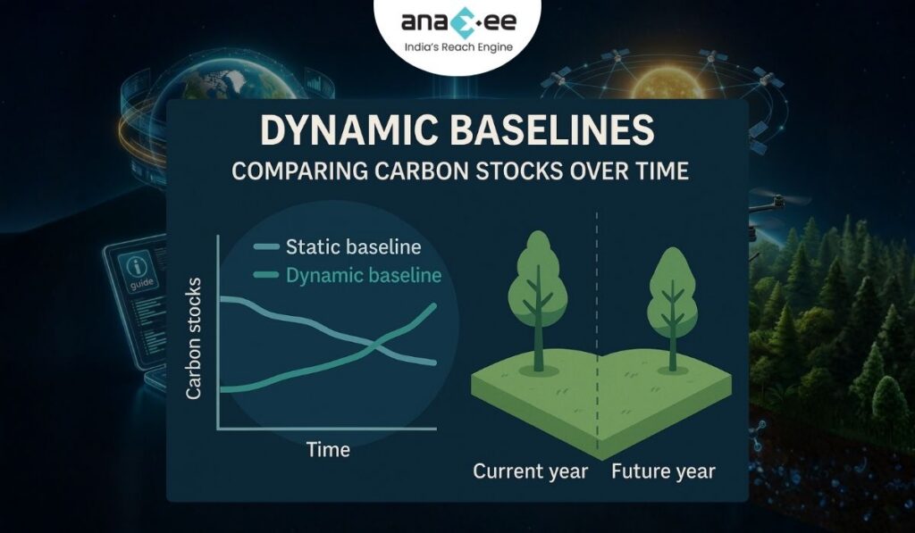 Infographic comparing static vs dynamic carbon baselines using a line graph, with illustrated forest patches showing current year and future year conditions, highlighting how dynamic baselines adjust with changing forest data.