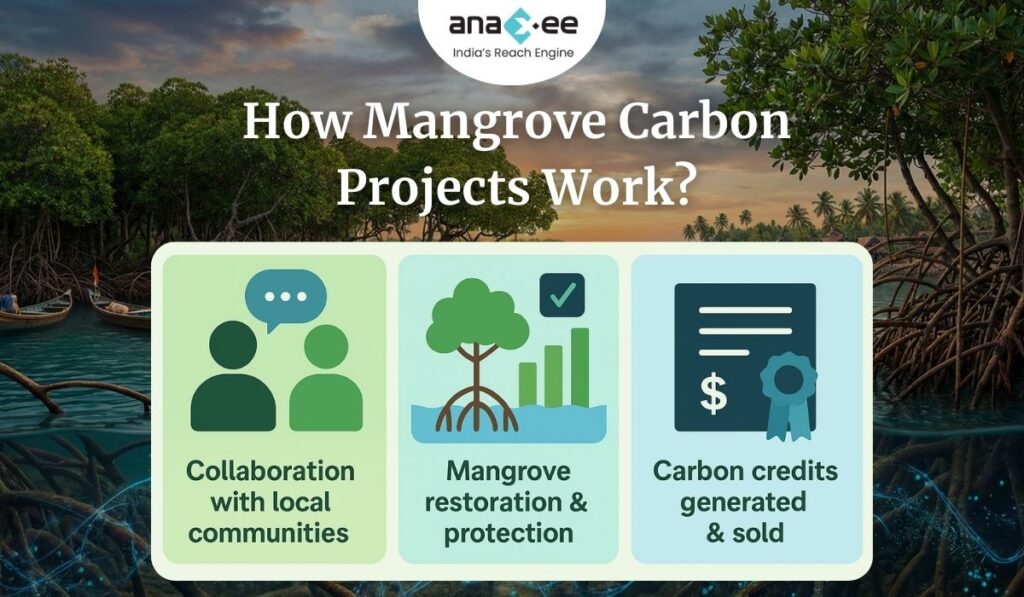 Mangrove Carbon Projects: The Future of Blue Carbon & Coastal Climate ...