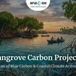 Header image featuring mangrove forests, small boats, and sunset scenery with the title “Mangrove Carbon Projects: The Future of Blue Carbon & Coastal Climate Action in India” and Anaxee logo.