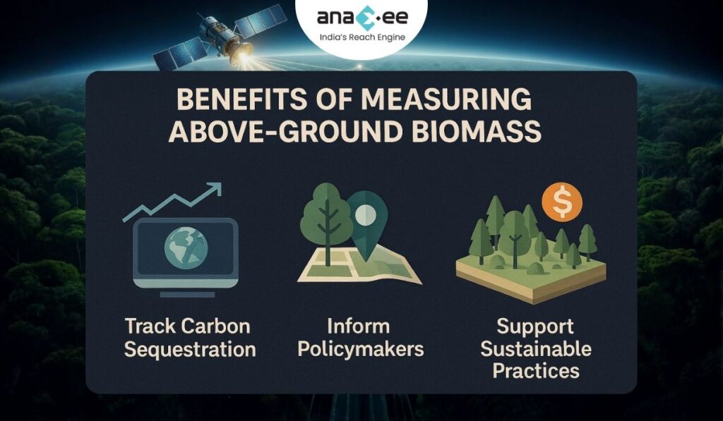 Infographic illustrating benefits of biomass measurement: tracking carbon sequestration, informing policymakers, and supporting sustainable land practices with map, forest, and financial icons.