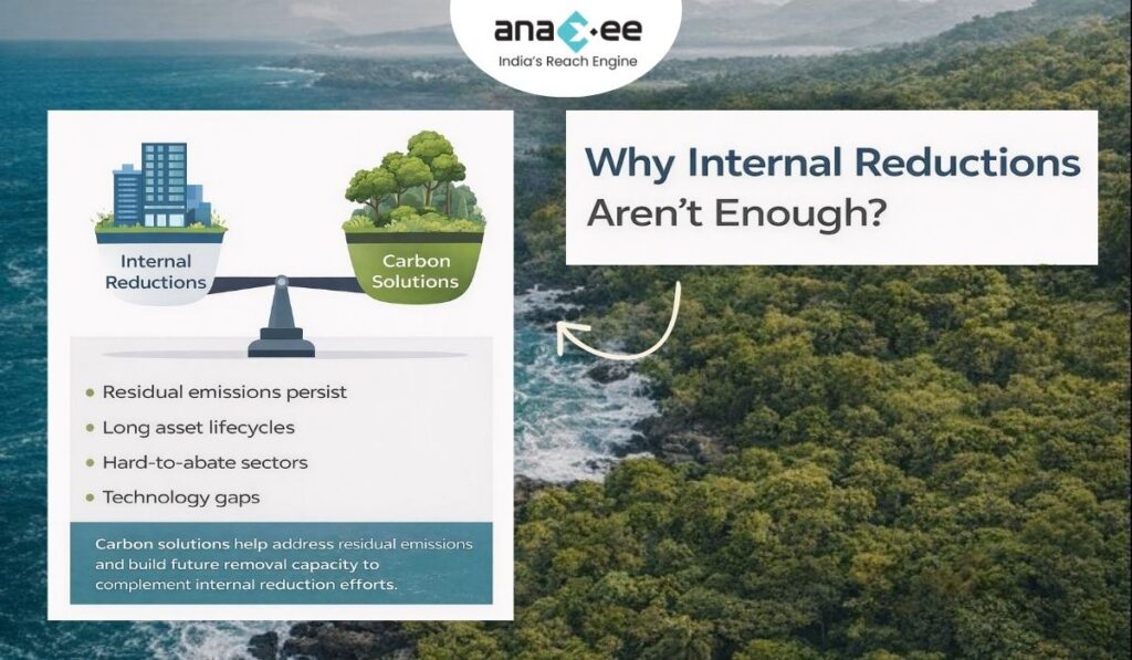 Aerial view of a dense coastal forest meeting the ocean, representing nature-based carbon solutions and their role in long-term business sustainability and net-zero strategies.