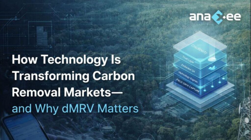 Illustration showing how digital MRV infrastructure supports credible, audit-ready carbon removal across nature-based climate projects.
