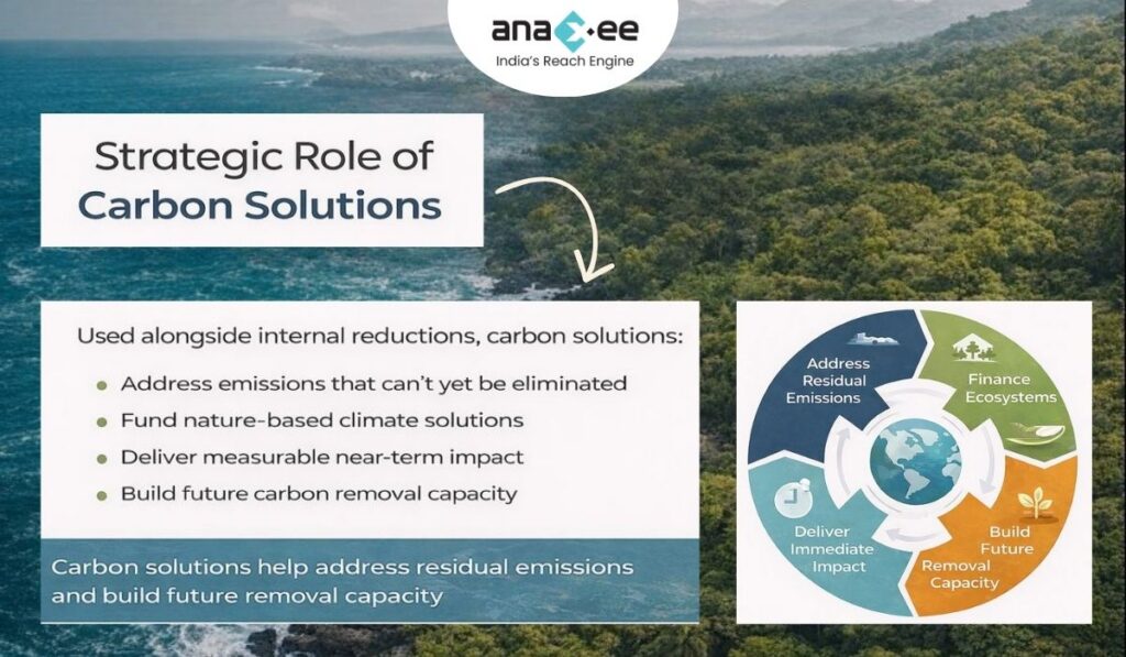Circular diagram illustrating the strategic role of carbon solutions in addressing residual emissions, financing ecosystems, delivering immediate climate impact, and building future carbon removal capacity.