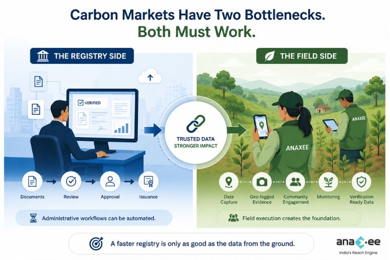 Illustration comparing registry workflows and field data collection, showing that both registry automation and ground verification are essential for carbon markets.