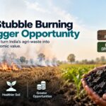 Biochar carbon removal opportunity in India, showing crop residue burning transformed into biochar for cleaner air, healthier soil, and economic value.