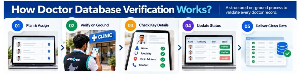 Five-step doctor database verification workflow showing field assignment, on-ground verification, checking doctor details, updating record status and delivering clean data.